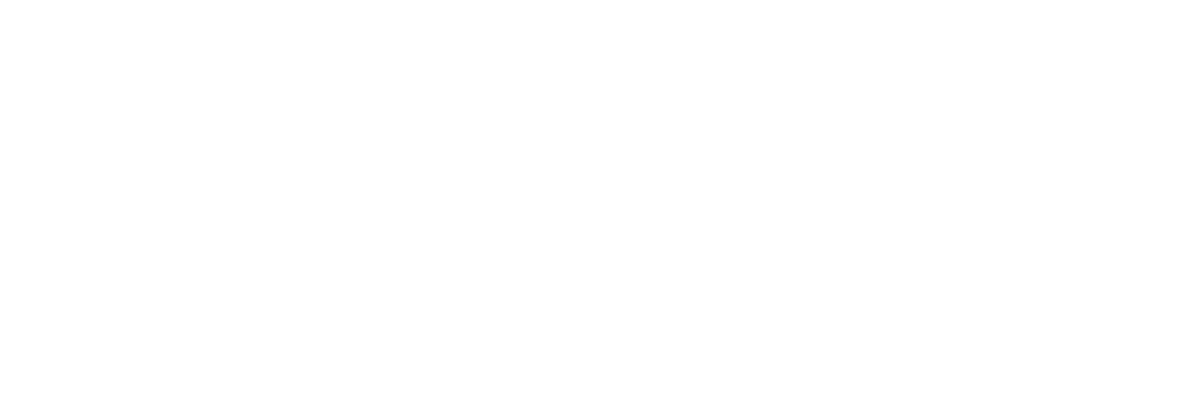 Impactum Coaching & Development